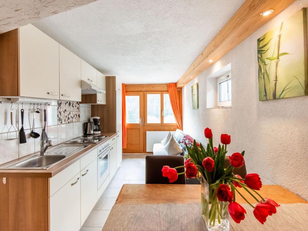 Apartment In The Silvretta-Montafon Ski Area Sankt Gallenkirch Exterior photo